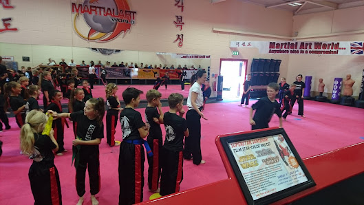 Martial Art World